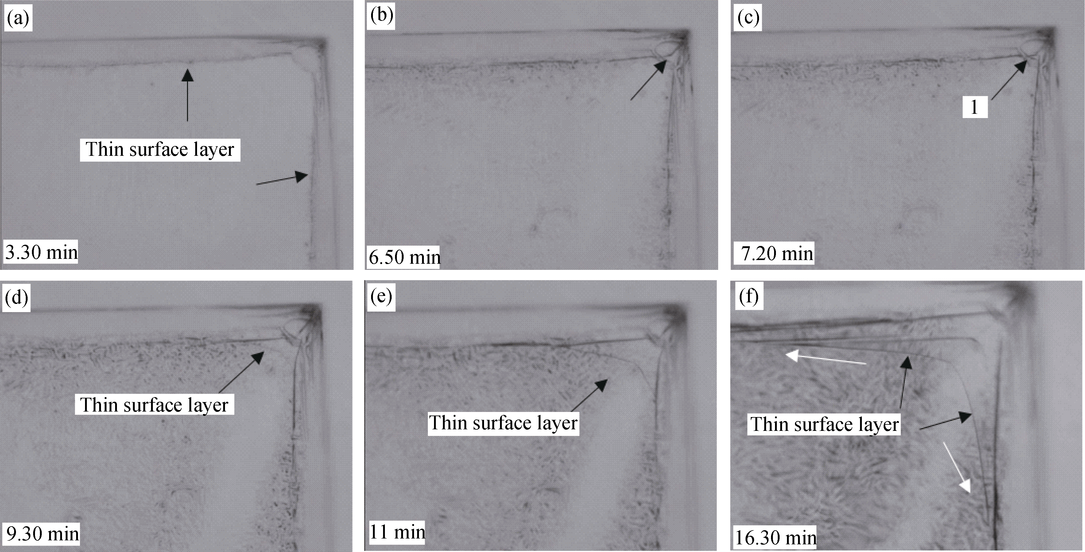 Effect of Edge Angles on Growth of Thin Surface Layer of Z-cut NH 4 H 2 ...