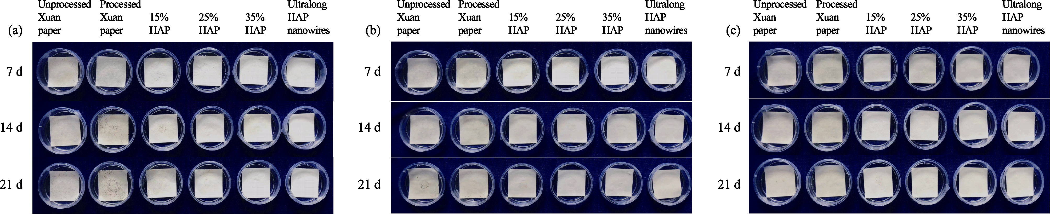 Fire-Resistant Inorganic Analogous Xuan Paper with Thousands of Years'  Super-Durability